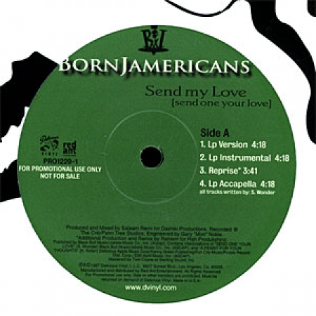 Born Jamericans ‎– Send My Love / Gotta Get Mine 