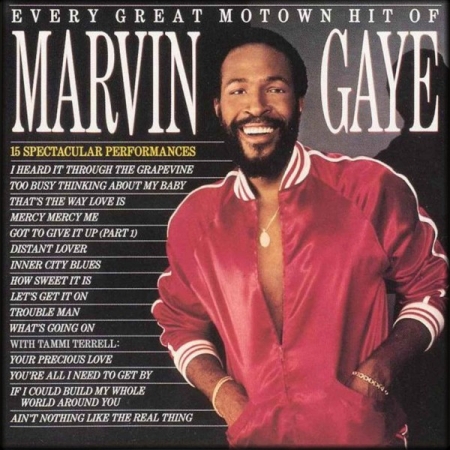 Marvin Gaye ‎– Every Great Motown Hit Of Marvin Gaye