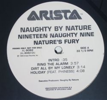  Naughty By Nature ?– Nineteen Naughty Nine - Nature's Fury