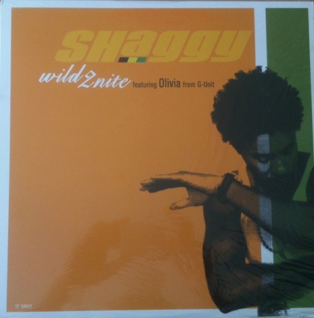  Shaggy ‎– Wild 2nite 