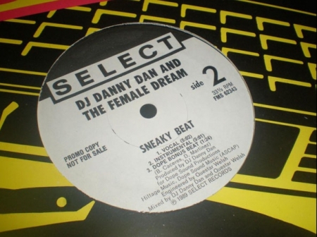  DJ Danny Dan And The Female Dream ‎– Sneak Beat