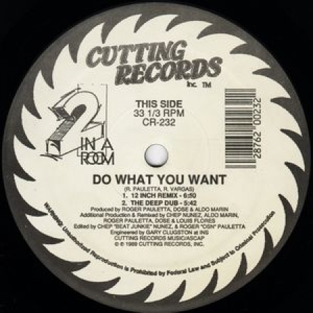  2 In A Room ‎– Do What You Want / Take Me Away 