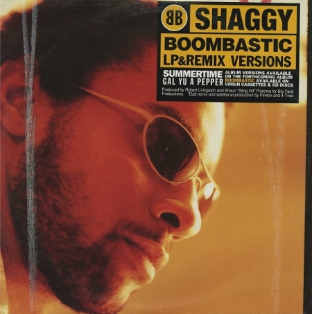 Shaggy ‎– Boombastic 