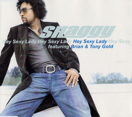 Shaggy ?– Hey Sexy Lady