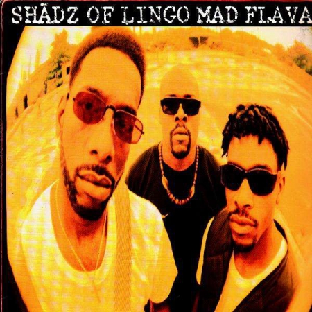 Shadz Of Lingo ‎– Mad Flavaz