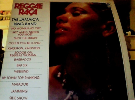 The Jamaica King Band ?– Reggae Raça