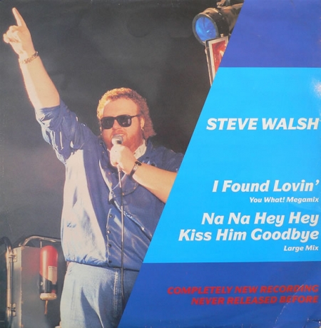 Steve Walsh - I Found Loving