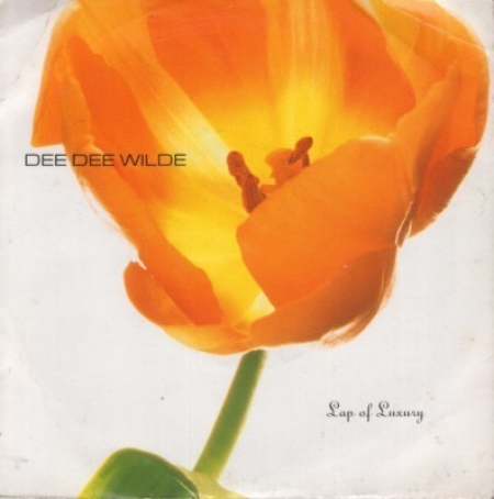 Dee Dee Wilde - Lap Of Luxury