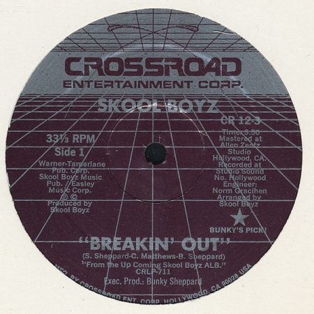 Skool Boyz - Breakin' Out