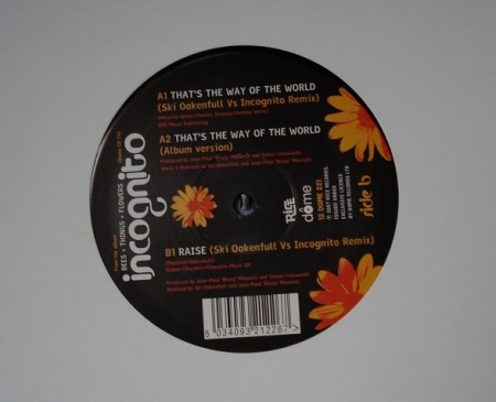 Incognito - That's The Way Of The World