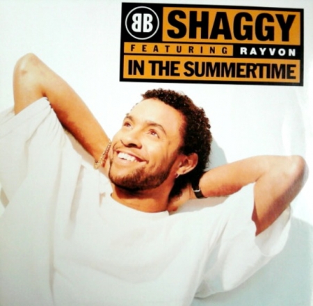Shaggy - In The Summertime / Boombastic