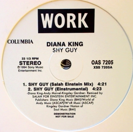 Diana King ?– Shy Guy