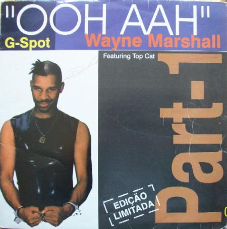 Wayne Marshall - G Spot (Ooh Aah) Part 1